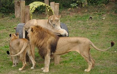 Uganda Wildlife Education Centre Image