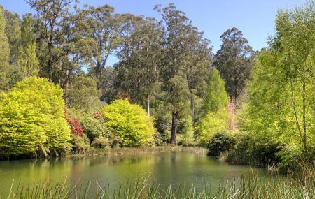National Rhododendron Gardens Image