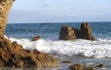Corona Del Mar State Beach Image