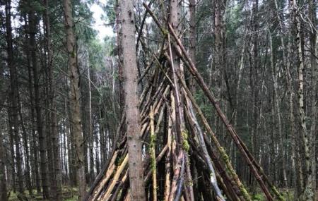 Clanger Wood Image