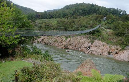 Buller Gorge Swing Bridge Nelson Ticket Price Timings