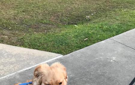 Pretty Acres Dog Park Image