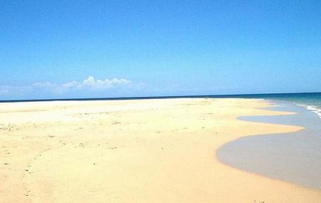 Playa De Punta Arena Image