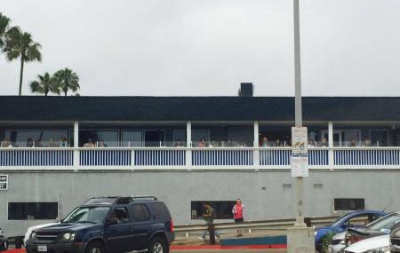 South Beach Bar & Grille Image
