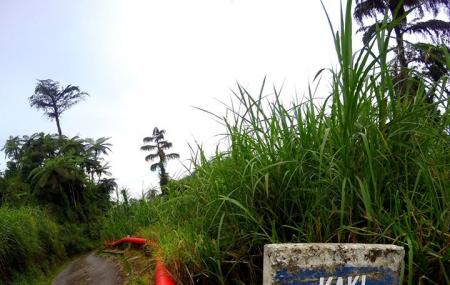 Bukit Larut Hidden Gem With Cool Weather Like Cameron Highlands