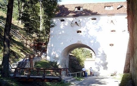 Bastionul Graft Image