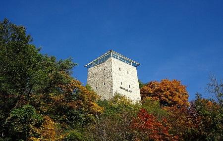 Black Tower Image