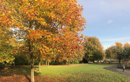 Walton Park Image