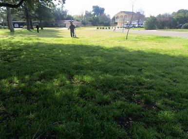 University Park Image