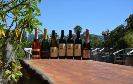 Newport Beach Vineyards And Winery Image