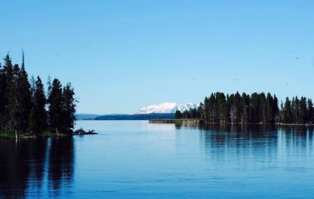 Fishing Bridge Rv Park Image