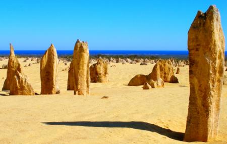 Nambung National Park Image