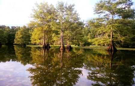 Boeuf Wildlife Management Area Image