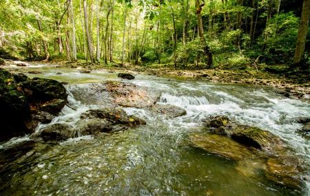 Clifton Gorge Nature Preserve Image