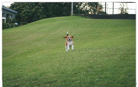 Kennedy Point Park Image
