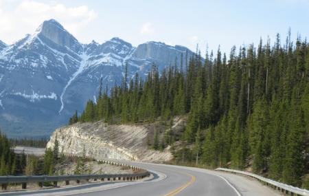 Icefields Parkway Image
