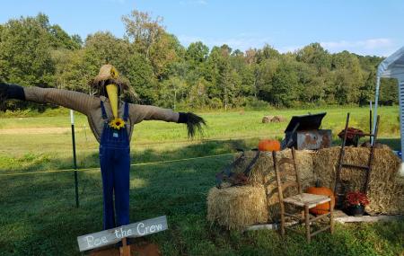 Still Family Farm, Llc Image