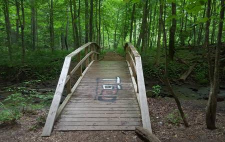 Honey Run Park Image