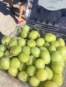 White's Farm Flea Market And Auctioneers Image