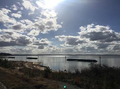 Hog Island Wildlife Management Area Image