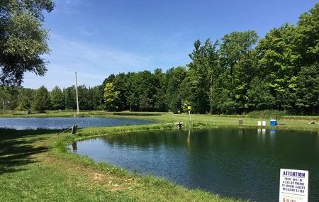 Primrose Trout Farm Image