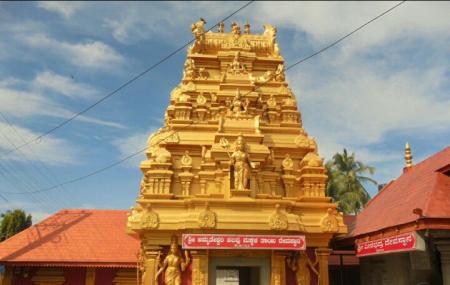 Sri Amruteshwari Temple Image