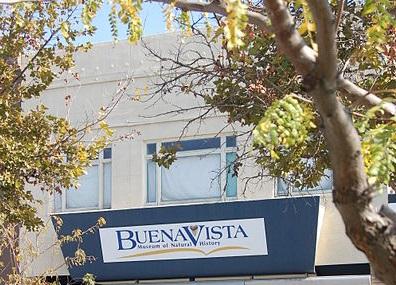 Buena Vista Museum Of Natural History Image
