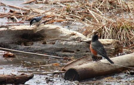 Aldo Leopold Nature Center Image