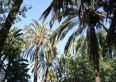 Parque De Malaga Image