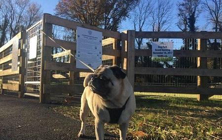 Warrenton Dog Park Image