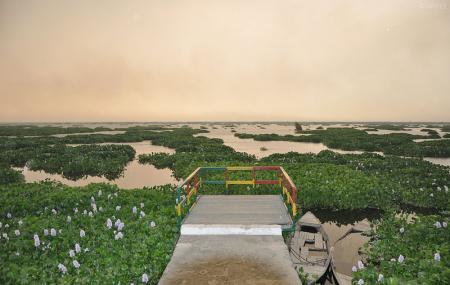Harike Wetland Image