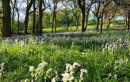 robinswood hill country park gloucester ticket price timings address triphobo