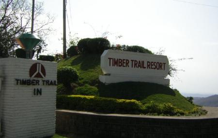 Timber Trail Image