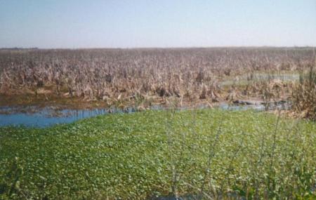 Sabine National Wildlife Refuge Image