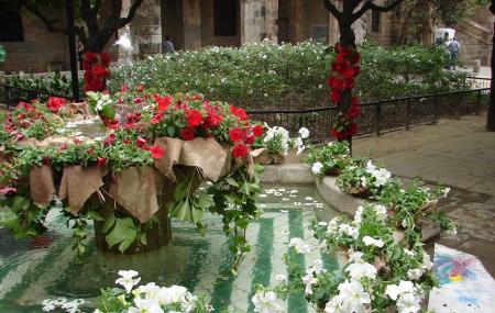 Jardins De Rubió I Lluch Image