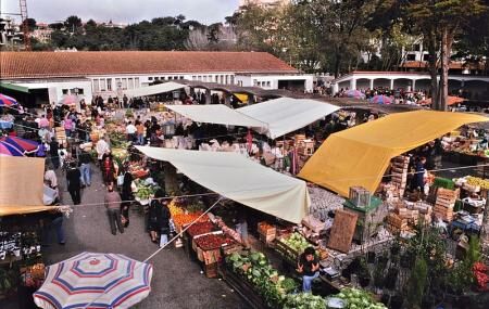 Cascais Market Image