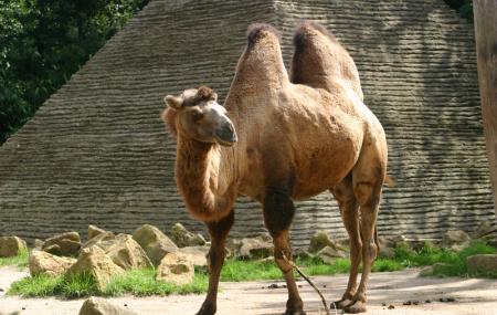 Zoo D'amneville Image