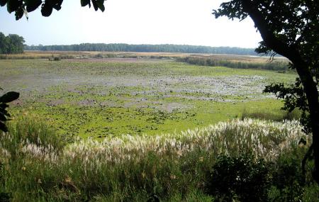Shuklaphanta National Park Image