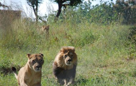 Munda Wanga Environmental Park Image
