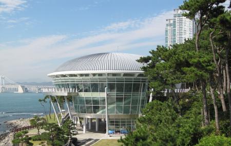 Nurimaru Apec House, Busan | Ticket Price | Timings | Address: TripHobo