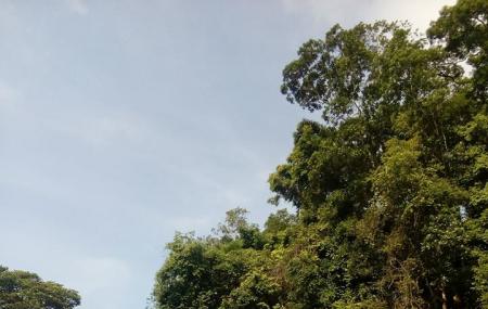 Cherok Tokun Nature Park Image