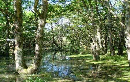 Reserve Nationale De Chasse Et De Faune Sauvage Du Lac Du Der-chantecoq Image