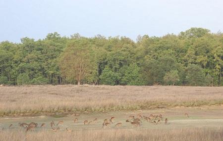 Achanakmar Wildlife Sanctuary Image