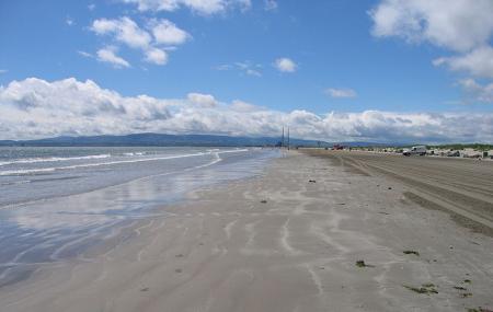 Bull Island Image