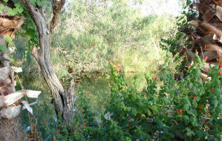 Hugh Ramsey Nature Park Image