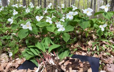 Goodhart Farms Nature Preserve Image