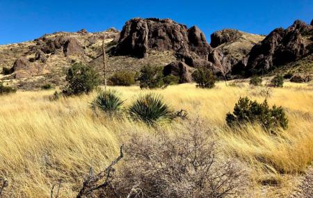 Soledad Canyon Day Use Area Image