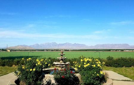Rio Grande Vineyards And Winery Image