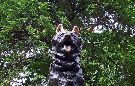 Balto Statue Image