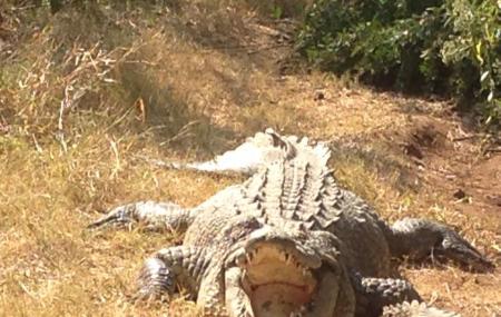 Livingstone Reptile Park Image